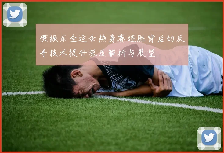 樊振东全运会热身赛连胜背后的反手技术提升深度解析与展望